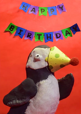 Puffin Hat - mobile ecard sent as a WhatsApp card, Happy Birthday WhatsApp Card, Happy Birthday eCard