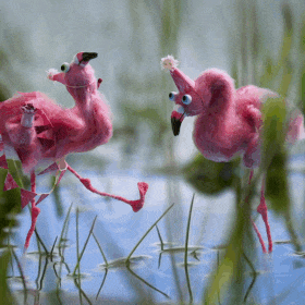 Tipsy Flamingo | birthday eCard sent via WhatsApp