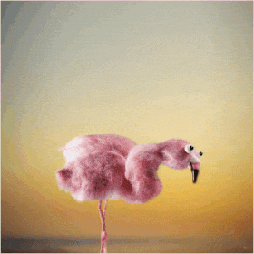 Flamingo Volleyball - a birthday ecard sent via WhatsApp