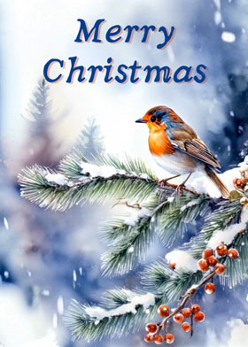 Robin Redbreast - mobile ecard sent as a Christmas WhatsApp card